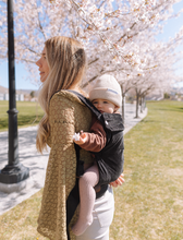 Load image into Gallery viewer, Black Velvet Baby Carrier
